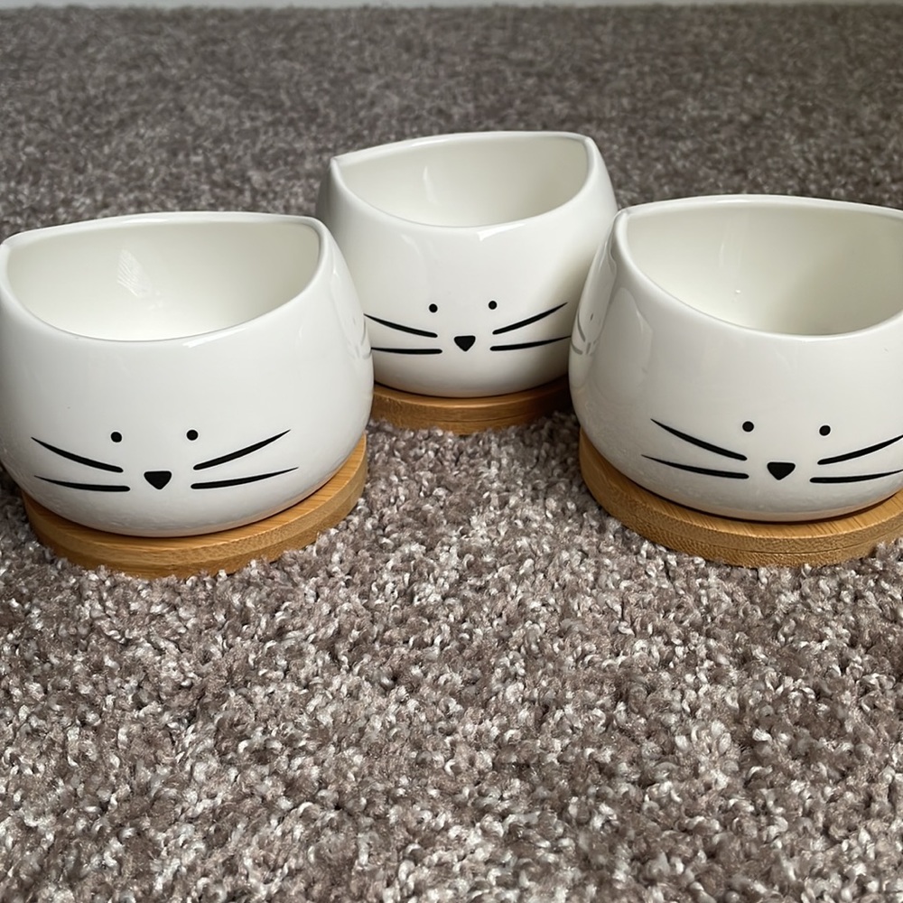Amazon Cute Cat Ceramic Succulent Planter Pots - Picture 2 of 3